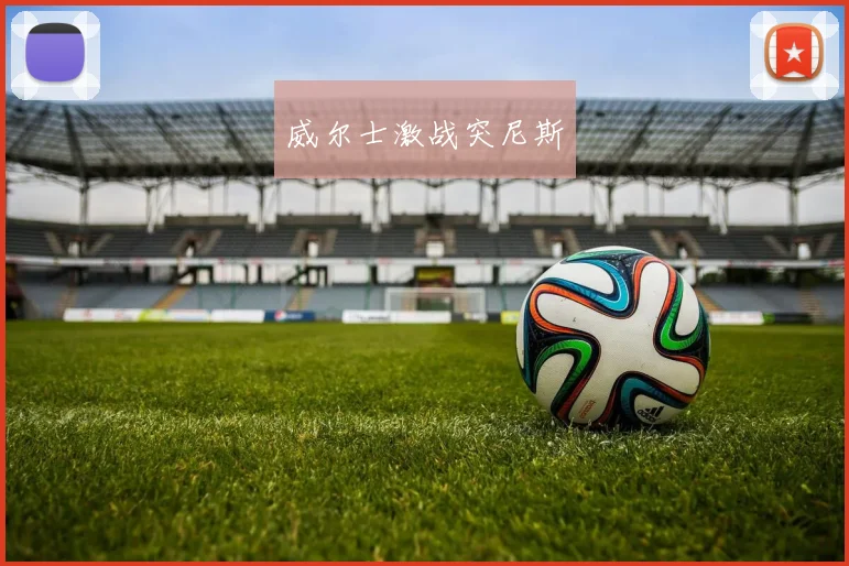威尔士激战突尼斯