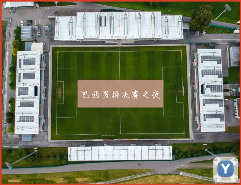 巴西男排决赛之夜
