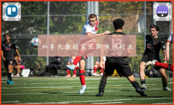 加拿大激战突尼斯焦点对决