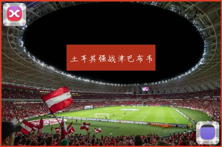 土耳其强战津巴布韦
