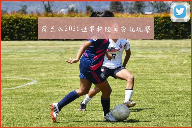 荷兰队2026世界杯赔率变化观察
