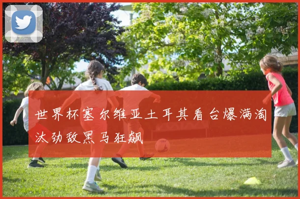 世界杯塞尔维亚土耳其看台爆满淘汰劲敌黑马狂飙