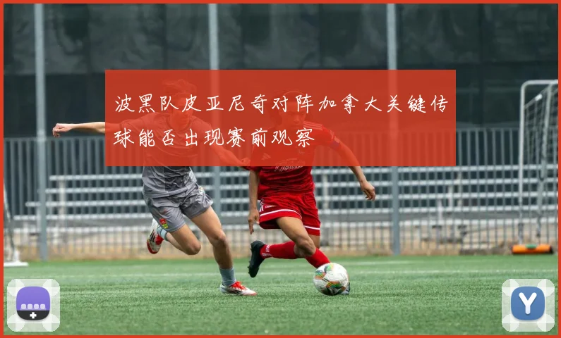 波黑队皮亚尼奇对阵加拿大关键传球能否出现赛前观察