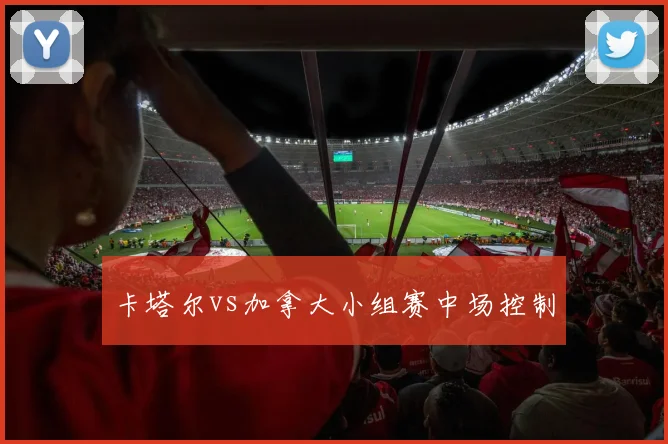 卡塔尔vs加拿大小组赛中场控制