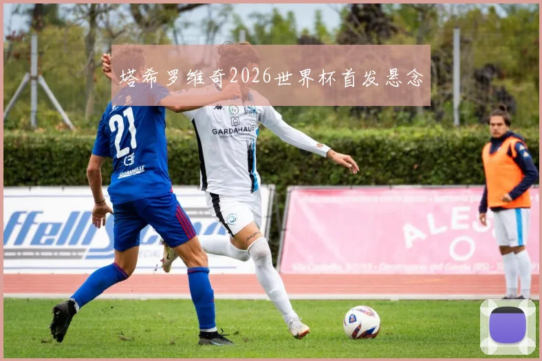 塔希罗维奇2026世界杯首发悬念