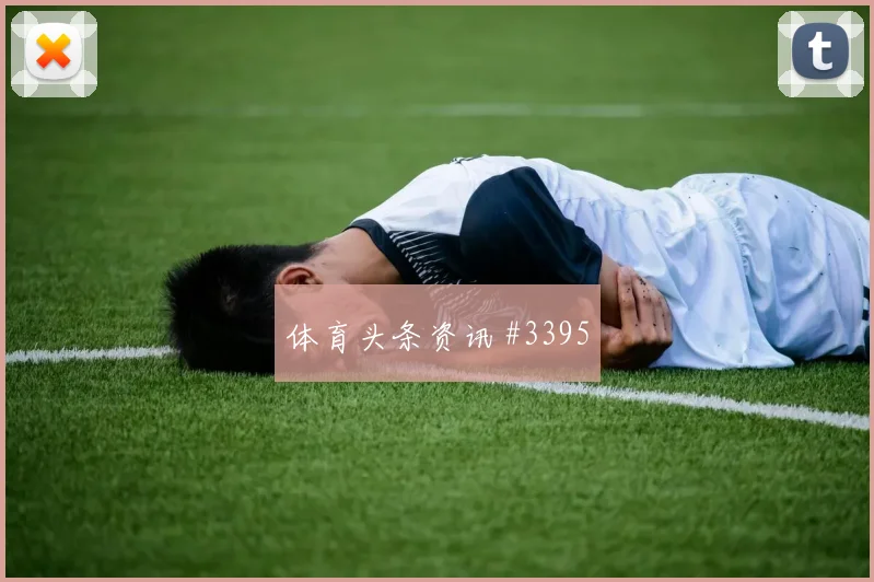 奥地利核心鲍姆加特纳大赛经验价值
