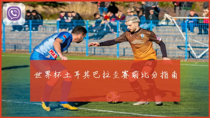 世界杯土耳其巴拉圭赛前比分指南