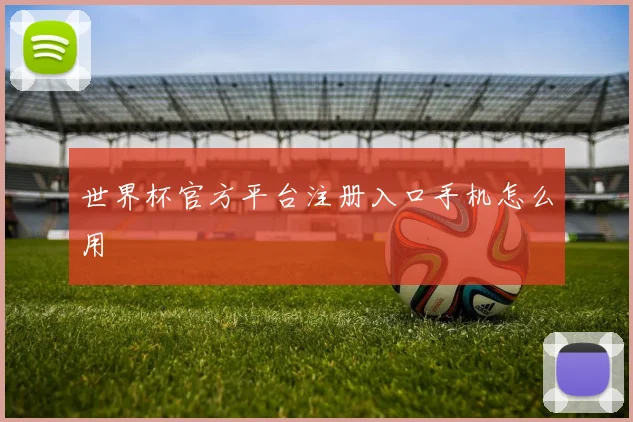 世界杯官方平台注册入口手机怎么用