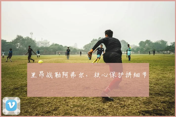里昂战勒阿弗尔，核心保护拼细节