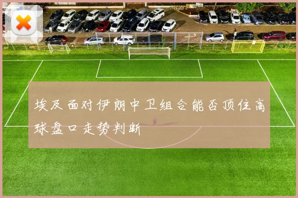 埃及面对伊朗中卫组合能否顶住高球盘口走势判断