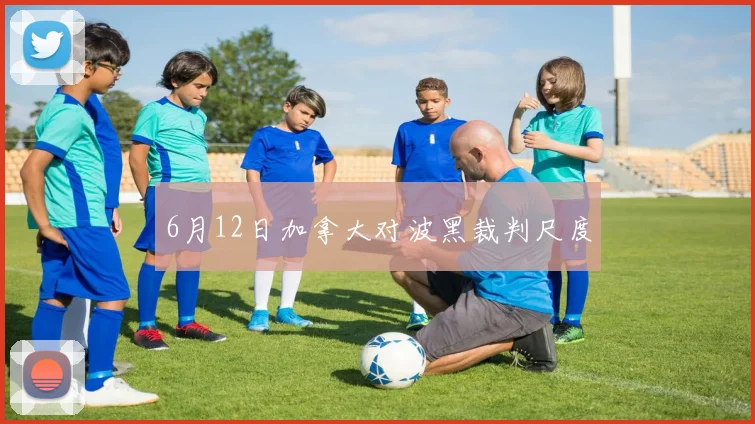 6月12日加拿大对波黑裁判尺度
